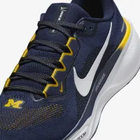 Michigan Pegasus 41 чоловічі Nike College Road Running Кросівки блакитний