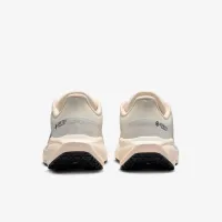 Nike Pegasus 41 GORE-TEX женская Waterproof Road Running Кроссовки цвет белый