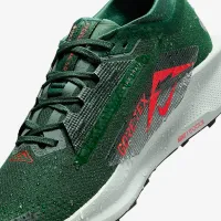 Nike Pegasus Trail 5 GORE-TEX чоловічі Waterproof Trail Running Кросівки колір зелений