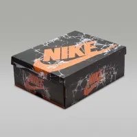Nike Air Jordan 1 High OG 