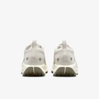 Nike Pegasus Trail 5 GORE-TEX мужские Waterproof Trail Running Кроссовки цвет серый