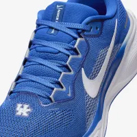 Kentucky Pegasus 41 мужские Nike College Road Running Кроссовки синий