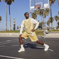 Nike Elevate 3 баскетбольные Кроссовки цвет серый
