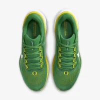 Oregon Pegasus 41 мужские Nike College Road Running Кроссовки цвет зеленый