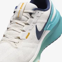Nike Structure 25 чоловічі Road Running Кросівки колір сірий