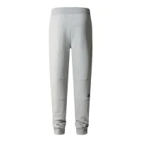 Штаны The North Face Fine 0A827GDYX1 - Серые