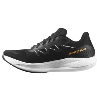 Кроссовки для бега Мужские Salomon SPECTUR (415896)
