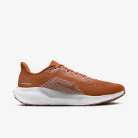 Texas Pegasus 41 чоловічі Nike College Road Running Кросівки Orange