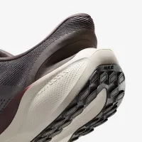 Nike Pegasus EasyOn чоловічі Road Running Кросівки колір сірий