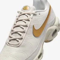 Nike Air Max Plus чоловічі Кросівки колір сірий