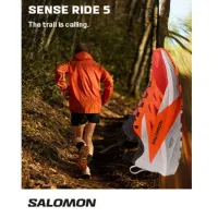 Кросівки для бігу Чоловічі Salomon SENSE RIDE 5 (470462)
