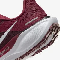 Morehouse Pegasus 41 мужские Nike College Road Running Кроссовки цвет красный