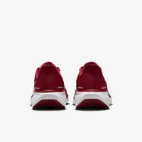 Stanford Pegasus 41 мужские Nike College Road Running Кроссовки цвет красный