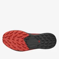 Кроссовки Salomon Sense Ride 5 L47214300 - Черные