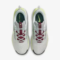 Nike Pegasus Trail 5 мужские Trail Running Кроссовки цвет серый