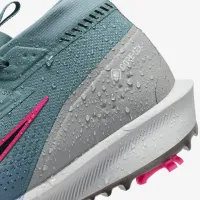 Nike Infinity Tour 2 GORE-TEX чоловічі Waterproof для гольфу Кросівки блакитний