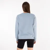 Кофта/футболка Champion Tonal Embroidery Fleece 115478-BS096 - Блакитна