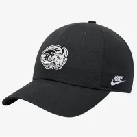 Winston-Salem Nike College Adjustable Cap колір чорний