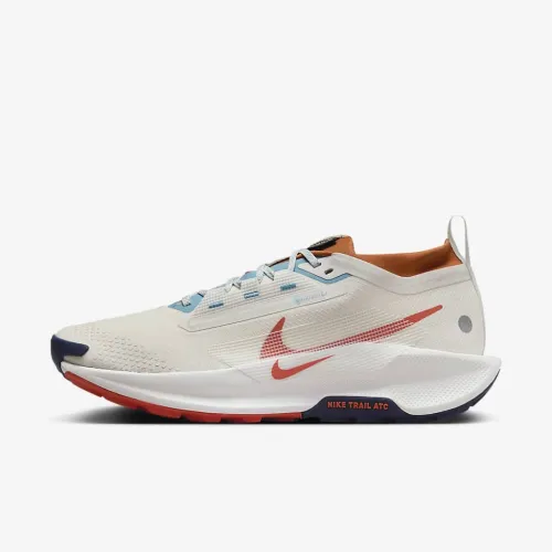 Nike Pegasus Trail 5 GORE-TEX мужские Waterproof Trail Running Кроссовки цвет серый
