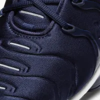 Nike Air VaporMax Plus чоловічі Кросівки блакитний