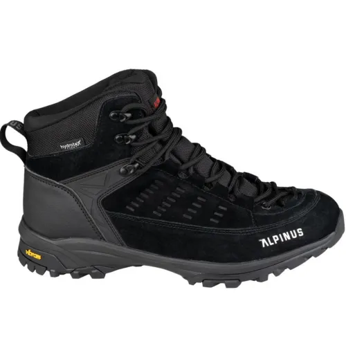 Кроссовки для треккинга Мужские ALPINUS BRASIL PLUS M (JS18659)
