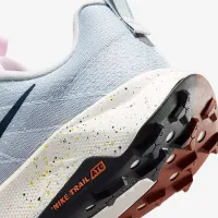 Nike Wildhorse 10 мужские Trail Running Кроссовки цвет серый