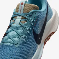 Nike Pegasus Trail 5 мужские Trail Running Кроссовки синий