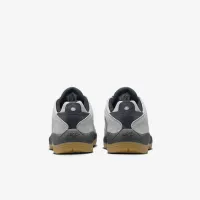 Nike SB Vertebrae чоловічі Кросівки колір сірий