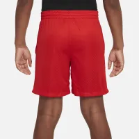 Nike Multi Big детские (для мальчиков) Dri-FIT Mesh шорты цвет красный