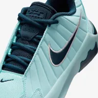 Nike LeBron Witness 9 Big дитячі баскетбольні Кросівки блакитний