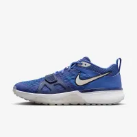 Nike Air Zoom Diamond Elite Turf мужские Baseball Кроссовки синий
