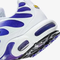 Nike Air Max Plus мужские Кроссовки цвет белый
