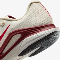 Nike Vapor 12 женская Hard Court Tennis Кроссовки цвет коричневый