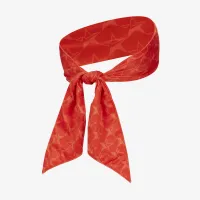 Nike Fly Graphic баскетбольные Head Tie цвет красный
