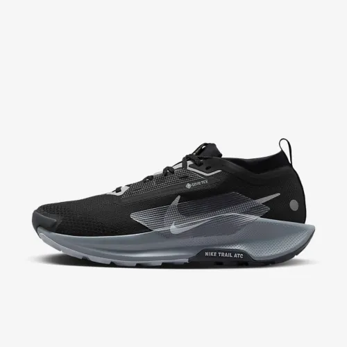 Nike Pegasus Trail 5 GORE-TEX чоловічі Waterproof Trail Running Кросівки колір чорний