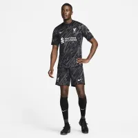 Liverpool FC Stadium Goalkeeper чоловічі Nike Dri-FIT Soccer Replica Short-Sleeve Jersey колір сірий