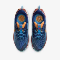 Nike Pegasus Trail 5 Big детские Trail Running Кроссовки синий