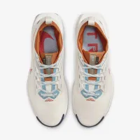 Nike Pegasus Trail 5 GORE-TEX чоловічі Waterproof Trail Running Кросівки колір сірий