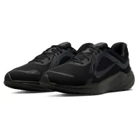 Кросівки для бігу Чоловічі NIKE QUEST 5 (DD0204 003)