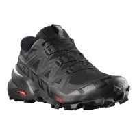 Кроссовки для бега w terenie SALOMON SPEEDCROSS 6 GTX Gore-tex (417386)