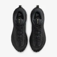 Nike ACG Mountain Fly 2 Low GORE-TEX чоловічі Кросівки колір сірий