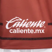 Pumas UNAM 2024 Stadium Goalkeeper Men's Nike Dri-FIT Soccer Replica Jersey Orange
