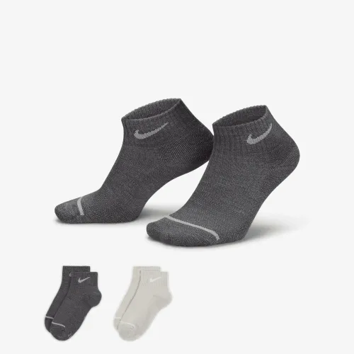 Nike Everyday Wool Cushioned Ankle шкарпетки (2 пар) різнокольорові