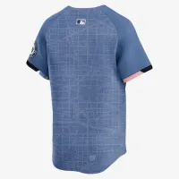Washington Nationals City Connect Men’s Nike Dri-FIT ADV MLB Limited Jersey колір сірий
