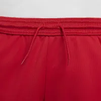 Nike Trophy23 Big детские Dri-FIT тренировочные шорты цвет красный