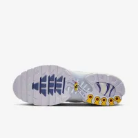 Nike Air Max Plus чоловічі Кросівки колір сірий