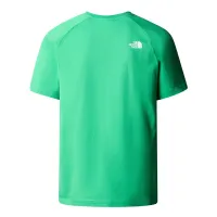 Футболка The North Face Raglan цвет красныйbox 0A87NJPO81 - зеленая