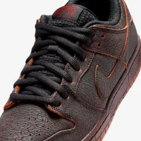 Nike SB Dunk Low Pro Premium Skate Кросівки колір сірий
