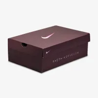 Nike Pegasus Premium женская Road Running Кроссовки цвет фиолетовый