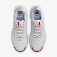 Nike Pegasus Trail 5 GORE-TEX мужские Waterproof Trail Running Кроссовки цвет серый